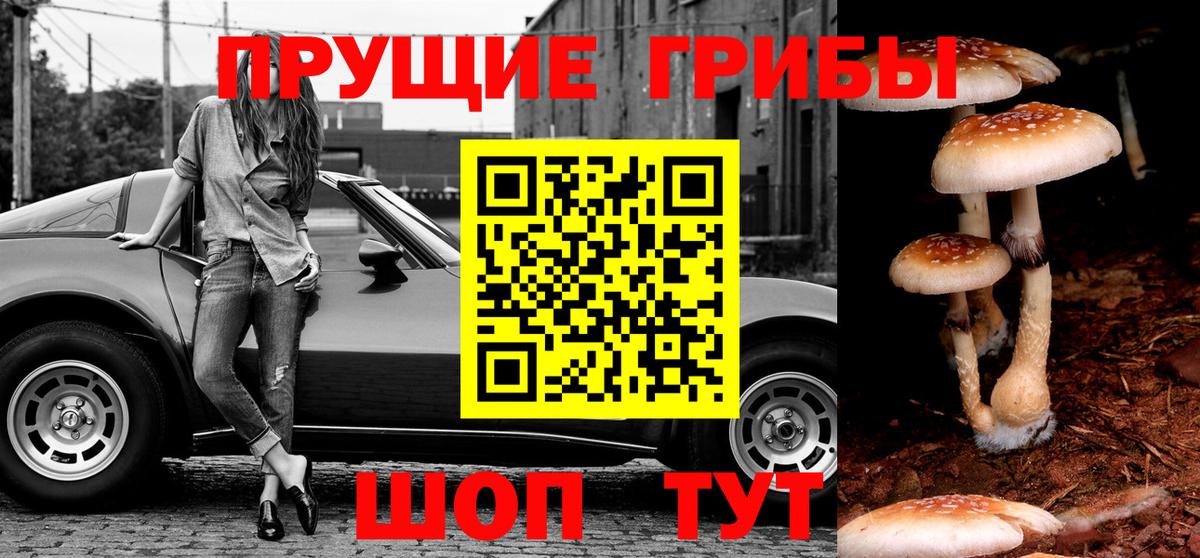 Псилоцибиновые грибы мухоморы Сибай