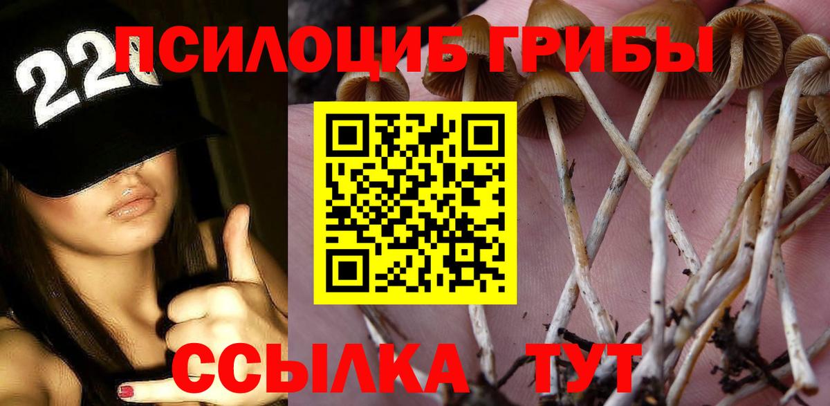 Псилоцибиновые грибы мицелий  Вход с VPN  что такое   Сибай 